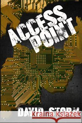 Access Point David Storm 9781517255800 Createspace