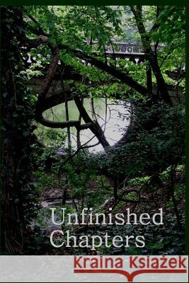 Unfinished Chapters Christina Hamlett Debbie McClure Chaynna Campbell 9781517317973