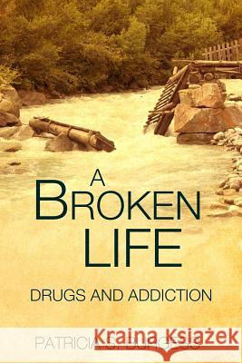 A Broken Life: : Mental Illness or Addiction Burgess, Patricia Sutton 9781517344993