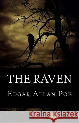 The Raven Edgar Allan Poe 510 Classics 9781517345167 Createspace