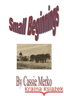 Small Beginnings Cassie Merko 9781517346959 Createspace