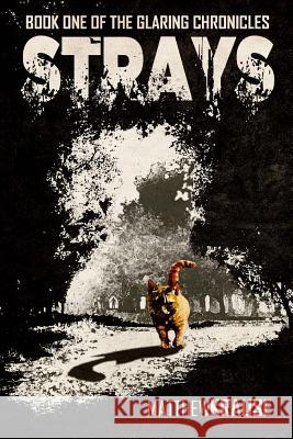 Strays: Book One of The Glaring Chronicles Krause, Matthew 9781517372415