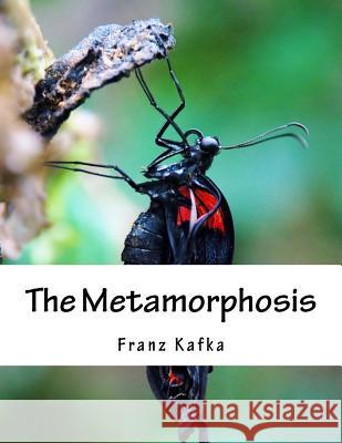 The Metamorphosis Franz Kafka Ian Johnston 9781517395148 Createspace