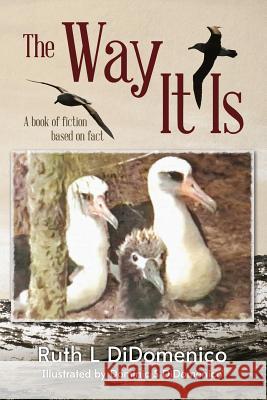 The Way It Is: A Book of Fiction Based on Fact Ruth Didomenico Dominic Didomenico 9781517459789