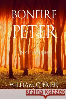 Bonfire Peter: (Peter: A Darkened Fairytale, Vol 13) O'Brien, William 9781517516871 Createspace