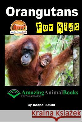 Orangutans For Kids Davidson, John 9781517559533 Createspace