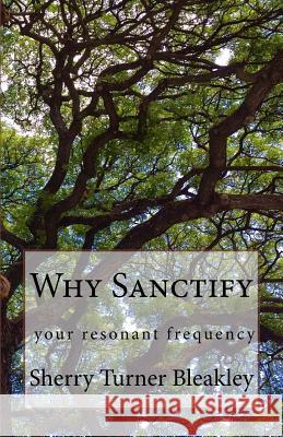 Why Sanctify Sherry Bleakley 9781517587680 Createspace