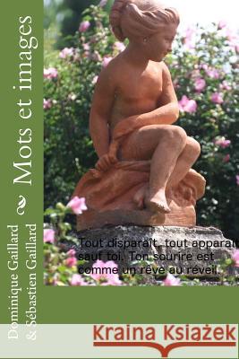 Mots et images Gaillard, Sebastien 9781517599997 Createspace