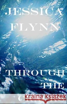 Through the Cracks Jessica M. Flynn Carla Christopher-Waid 9781517657185 Createspace