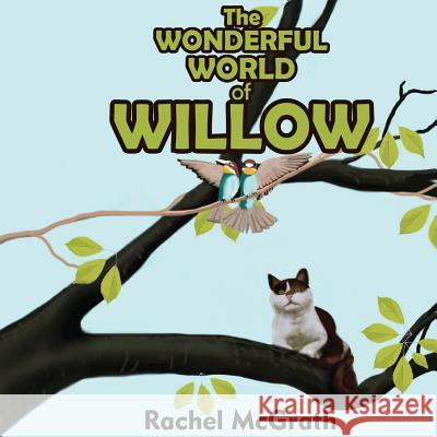 The Wonderful World of Willow Rachel McGrath 9781517697334