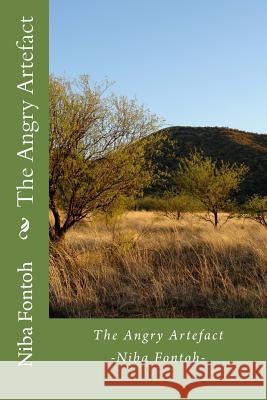 The Angry Artefact Niba Fontoh 9781517771669 Createspace Independent Publishing Platform