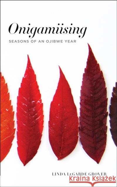 Onigamiising: Seasons of an Ojibwe Year Linda Legarde Grover 9781517903442 University of Minnesota Press