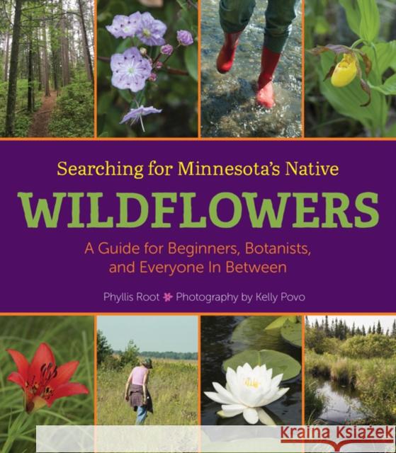Searching for Minnesota's Native Wildflowers: A Guide for Beginners, Botanists, and Everyone in Between Phyllis Root Kelly Povo 9781517904814 University of Minnesota Press