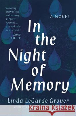 In the Night of Memory Linda Legarde Grover 9781517906504 University of Minnesota Press