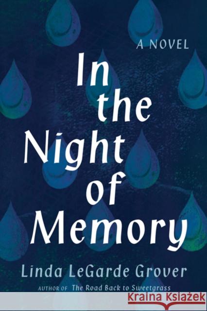 In the Night of Memory Linda Legarde Grover 9781517906511 University of Minnesota Press