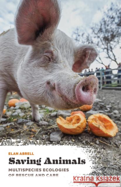 Saving Animals: Multispecies Ecologies of Rescue and Care Elan Abrell 9781517908119 University of Minnesota Press