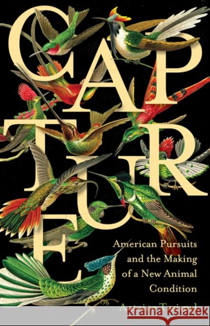 Capture: American Pursuits and the Making of a New Animal Condition Antoine Traisnel 9781517909642 University of Minnesota Press