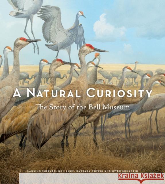 A Natural Curiosity: The Story of the Bell Museum Barbara Coffin Don Luce Gwen Schagrin 9781517910365