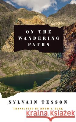 On the Wandering Paths Sylvain Tesson Drew S. Tesson 9781517912819 University of Minnesota Press