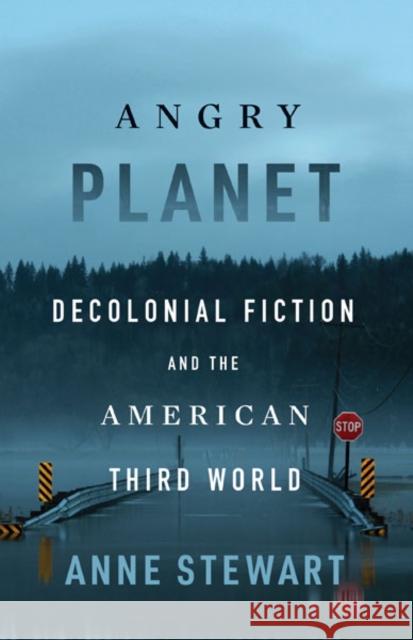 Angry Planet: Decolonial Fiction and the American Third World Anne Stewart 9781517914110 University of Minnesota Press