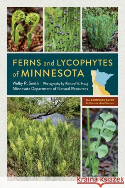 Ferns and Lycophytes of Minnesota: The Complete Guide to Species Identification Welby R. Smith Richard Haug 9781517914660 University of Minnesota Press