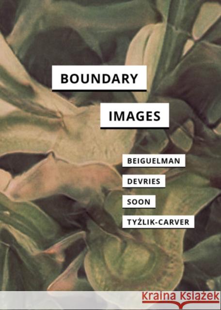 Boundary Images Magdalena Tyzlik-Carver 9781517916121 University of Minnesota Press