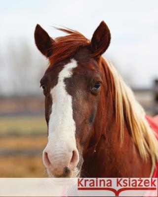 Kids Large Leftie Horse Journal: Wide Ruled Journal or Notebook Wunderlich, Jordan 9781518431562