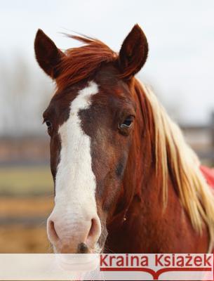 Kids Large Horse Journal: Wide Ruled Journal or Notebook Jordan Wunderlich 9781518431647