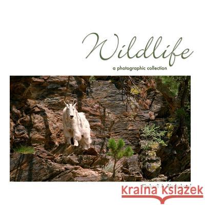 Wildlife: a photographic collection Kimberli a. Bindschatel 9781518652745