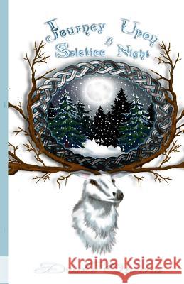 journey upon a solstice night Newman, Dana C. 9781518673801 Createspace