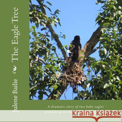 The Eagle Tree: A dramatic story of two baby eagles growing up in the Riverbend nest tree. Meier, Ralph 9781518873584
