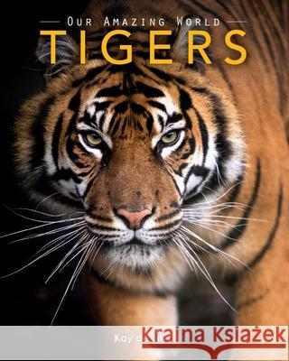 Tigers: Amazing Pictures & Fun Facts on Animals in Nature Kay D 9781519132543 Createspace