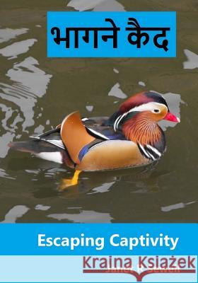 Escaping Captivity: A Simple Guide to Becoming Whole in Christ Janet R. Sewell Nathan R. Sewell 9781519293992 Createspace Independent Publishing Platform