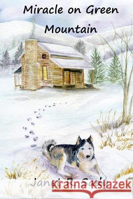 Miracle on Green Mountain Janet R. Sady 9781519396419 Createspace Independent Publishing Platform