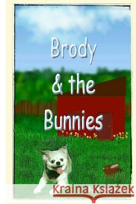Brody & the Bunnies Angela Promo 9781519436665 Createspace Independent Publishing Platform