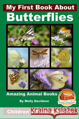 My First Book About Butterflies Davidson, John 9781519479143 Createspace