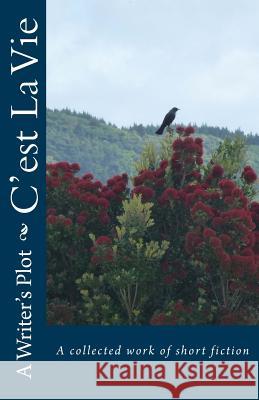 C'est La Vie A. Writer's Plot 9781519525222 Createspace Independent Publishing Platform