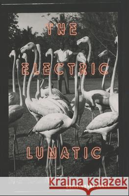 The Electric Lunatic Christopher Lesko 9781519527189