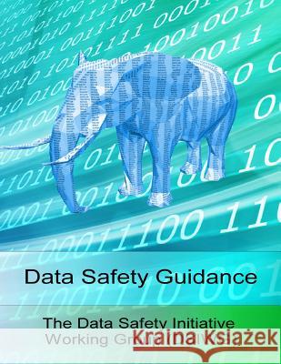 Data Safety Guidance The Data Safety Initiative Working Group MR Paul Hampton 9781519533579 Createspace Independent Publishing Platform