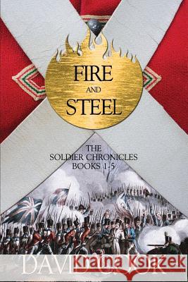 Fire and Steel: The Soldier Chronicles Books 1-5 MR David Cook Jenny Q 9781519615183