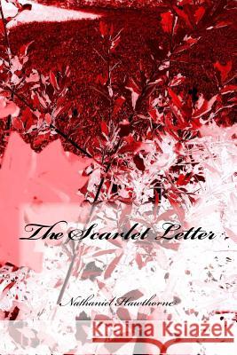 The Scarlet Letter Nathaniel Hawthorne 9781519745637