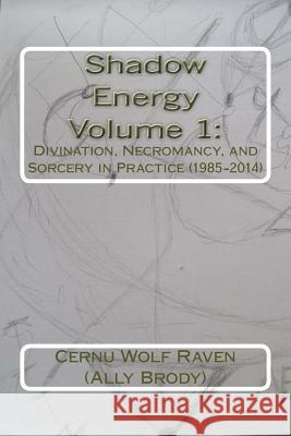 Shadow Energy Volume 1: : Divination, Necromancy, and Sorcery in Practice (1985-2014) Brody, Allison E. 9781519791559 Createspace Independent Publishing Platform