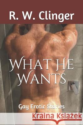 What He Wants: Gay Erotic Stories R. W. Clinger 9781520414508 Independently Published