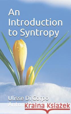 An Introduction to Syntropy Antonella Vannini Ulisse D 9781520758947 Independently Published