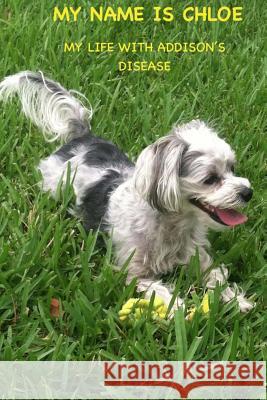 My Name Is Chloe James Renken 9781522733997 Createspace Independent Publishing Platform