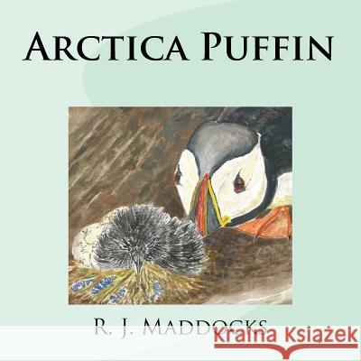 Arctica Puffin Rachel Jane Maddocks 9781522742135