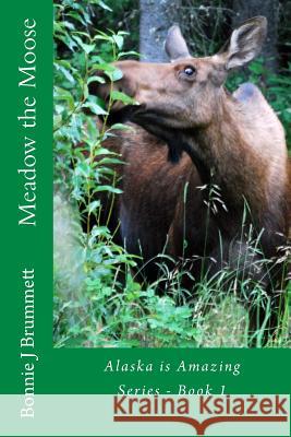 Meadow the Moose Bonnie J. Brummett 9781522750529 Createspace Independent Publishing Platform