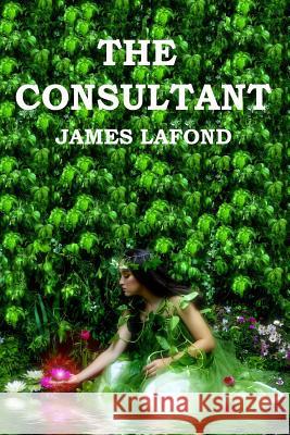 The Consultant James LaFond 9781522919216 Createspace Independent Publishing Platform