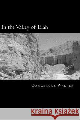 In the Valley of Elah Dangerous Walker 9781522981503 Createspace Independent Publishing Platform