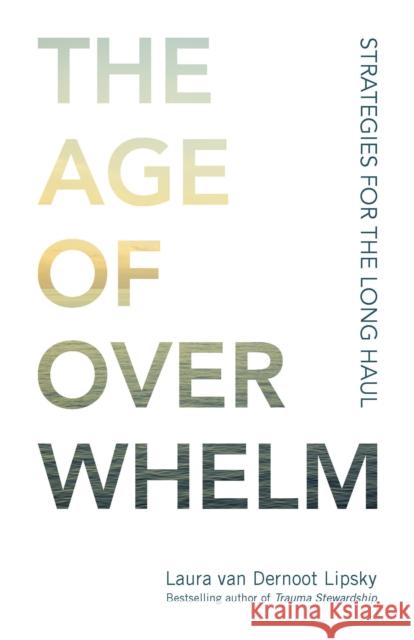 The Age of Overwhelm: Strategies for the Long Haul Laura Va 9781523094738 Berrett-Koehler Publishers